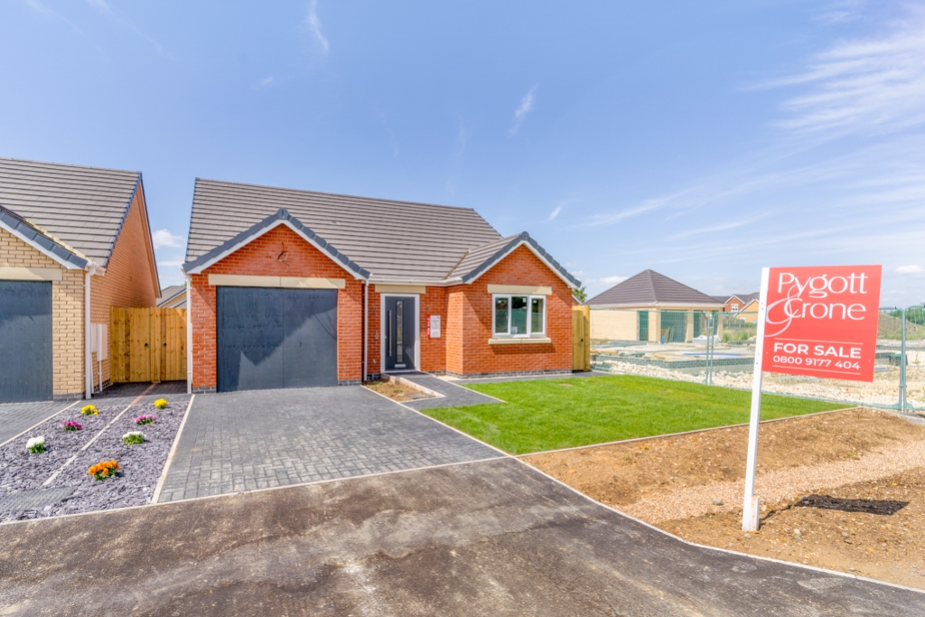 Plot 79 , 